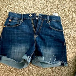 Denizen from Levi High Waisted shorts.